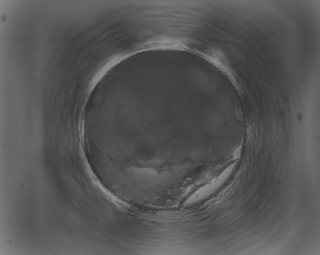 X0000066931383200603311341