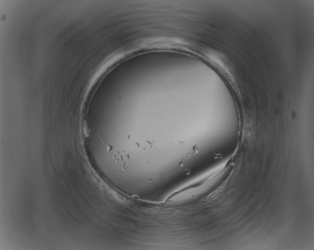 X0000066931384200603311341