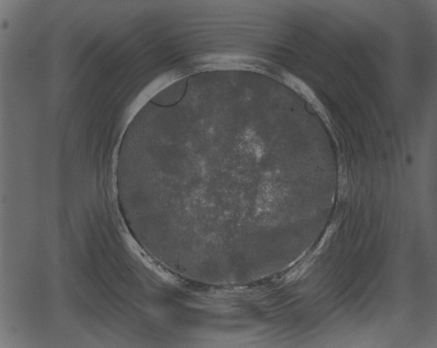 X0000066931386200603311341