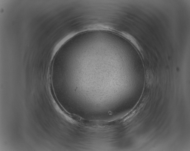 X0000066931387200603311341