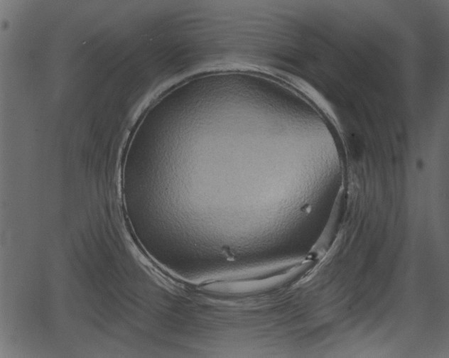 X0000066931388200603311341