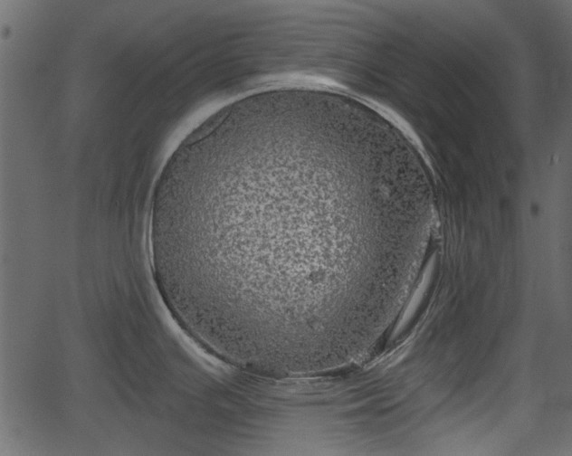 X0000066931391200603311341