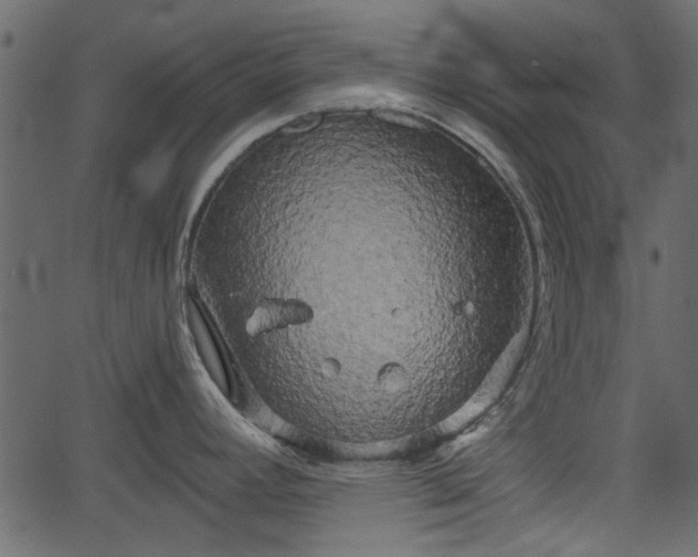 X0000066931392200603311341