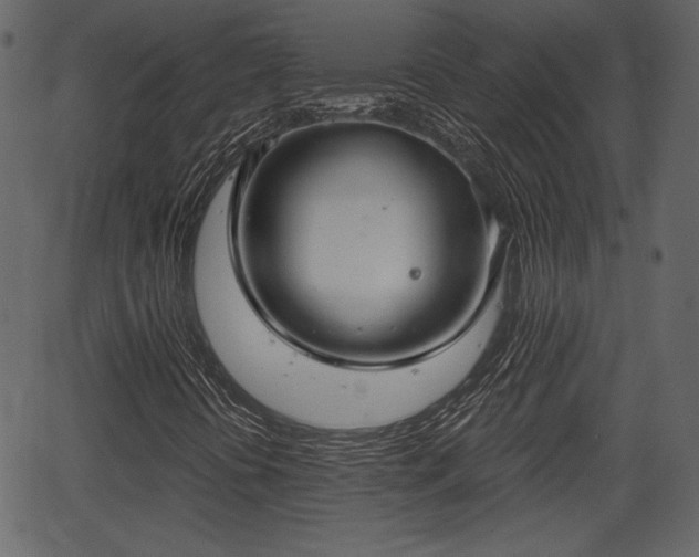X0000066931394200603311340