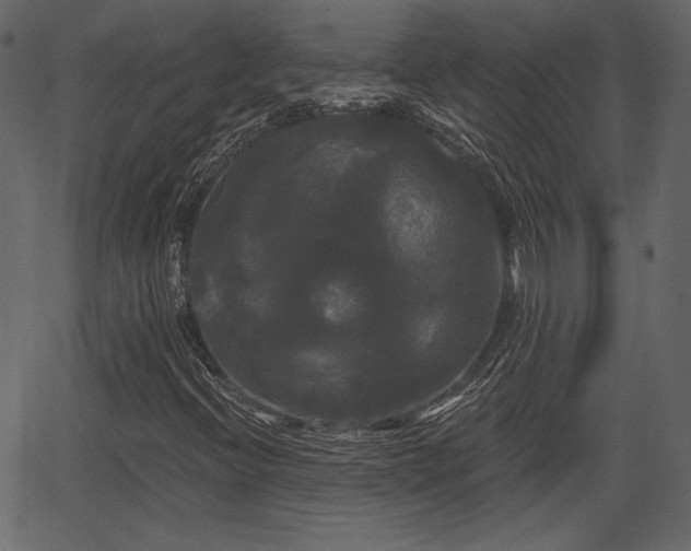 X0000066931396200603311340