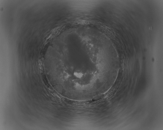 X0000066931397200603311340