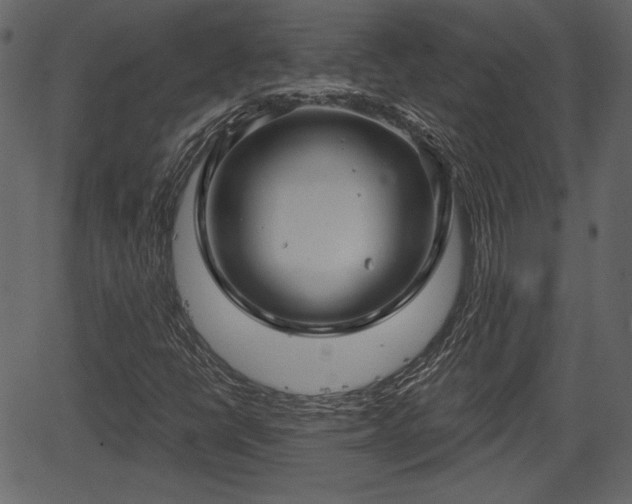 X0000066931398200603311340
