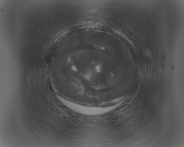 X0000066931399200603311340