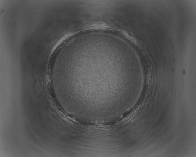 X0000066931400200603311340
