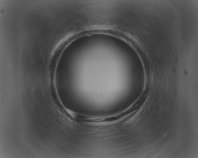 X0000066931406200603311340