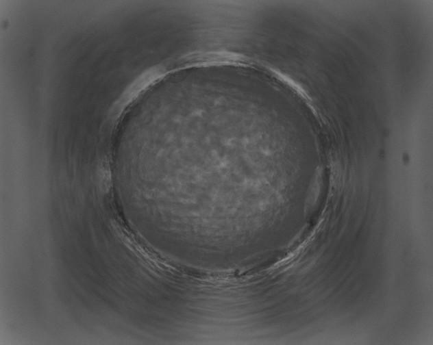 X0000066931407200603311340