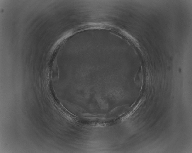 X0000066931411200603311340
