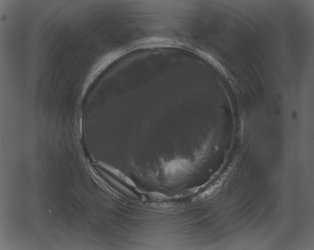 X0000066931413200603311340