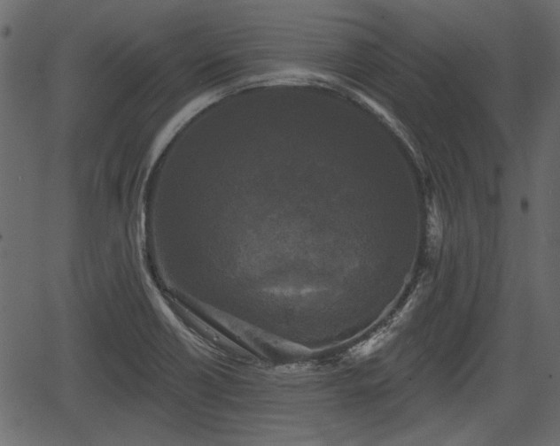 X0000066931418200603311340