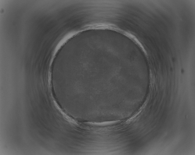 X0000066931424200603311341