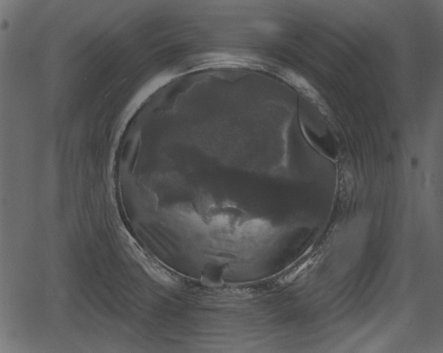 X0000066931427200603311341