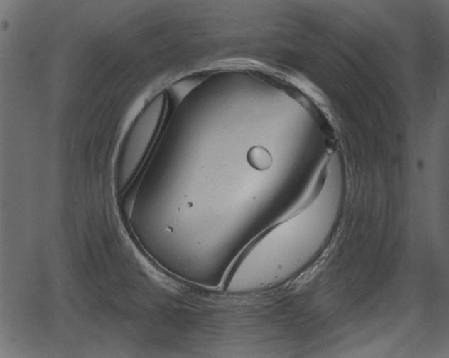 X0000066931430200603311341