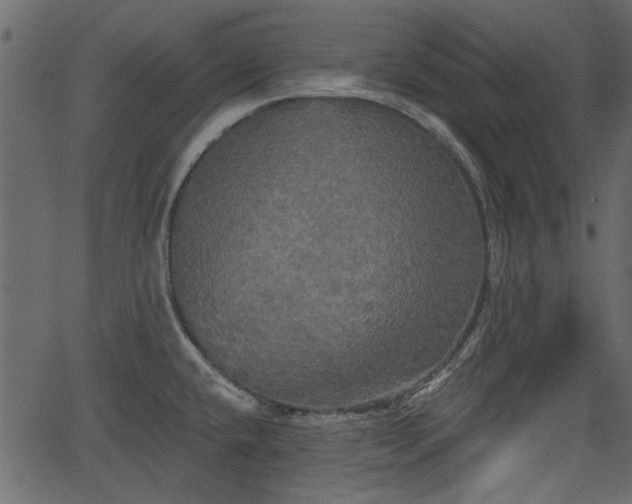 X0000066931432200603311341