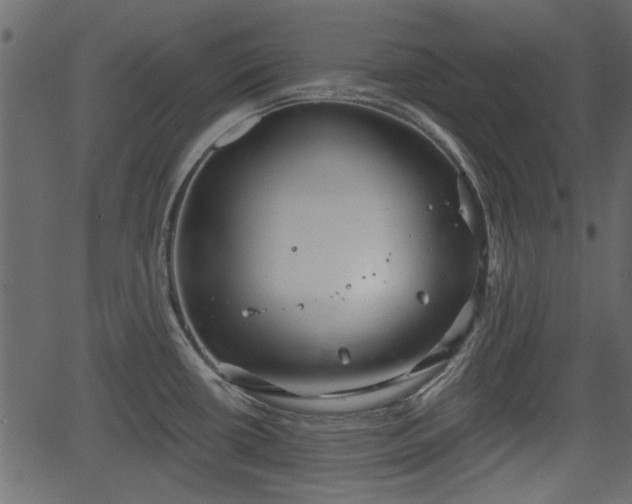 X0000066931434200603311341