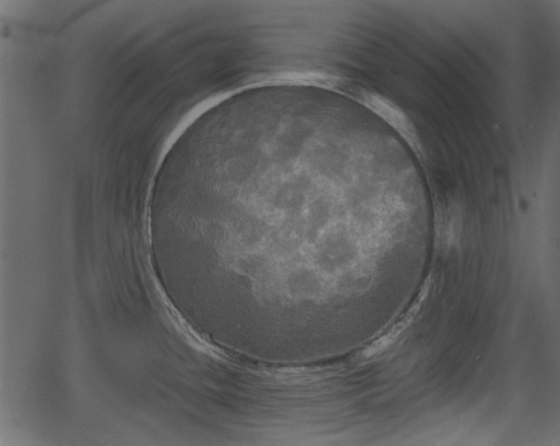 X0000066931436200603311341