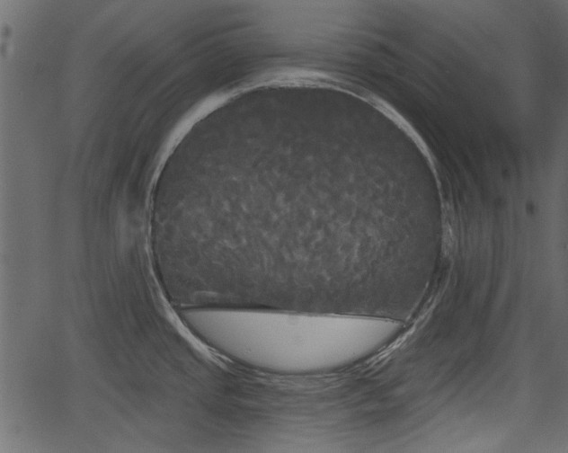 X0000066931437200603311341