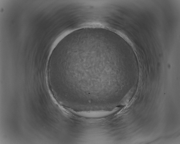 X0000066931440200603311341