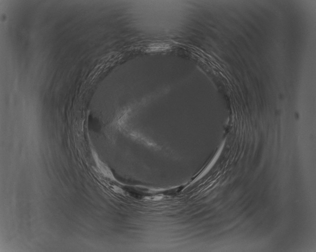 X0000066931441200603311340