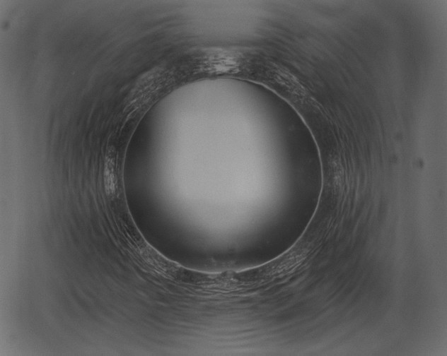 X0000066931442200603311340