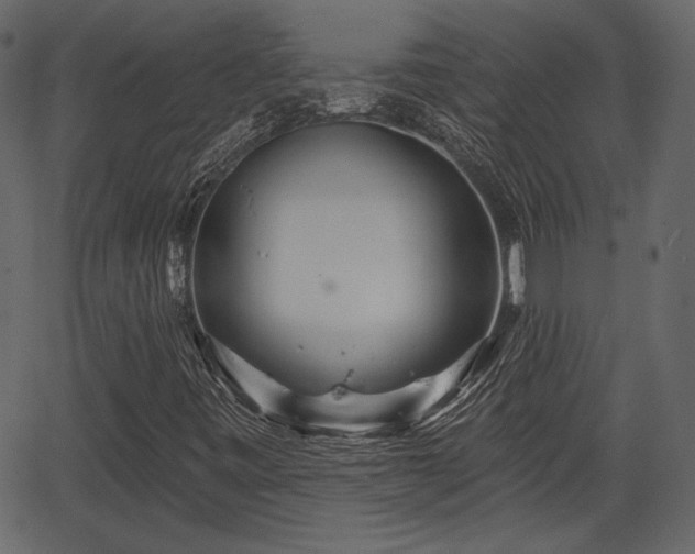 X0000066931443200603311340