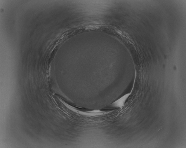 X0000066931445200603311340