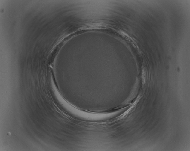 X0000066931449200603311340