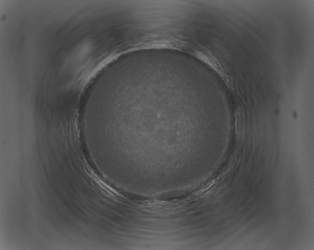 X0000066931452200603311340