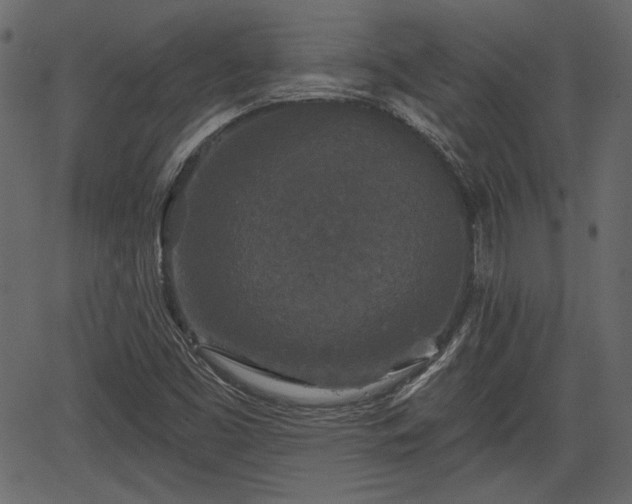 X0000066931453200603311340