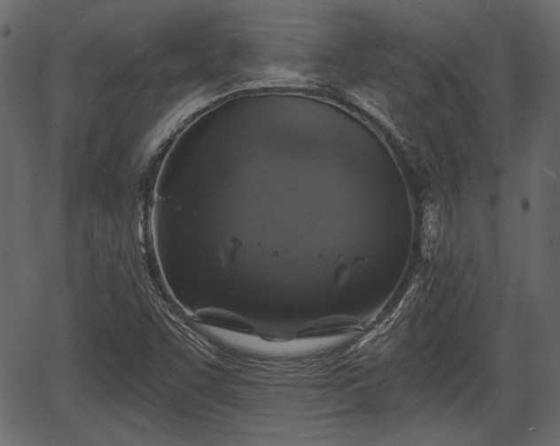 X0000066931455200603311340
