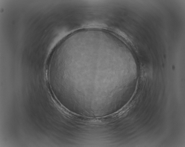 X0000066931462200603311340
