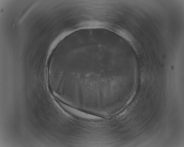 X0000066931472200603311339