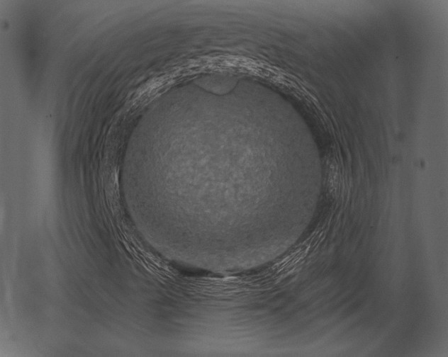 X0000066931489200603311338