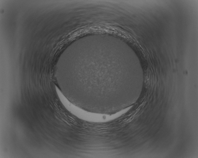 X0000066931490200603311338