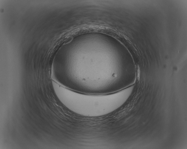 X0000066931492200603311339