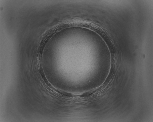 X0000066931493200603311339