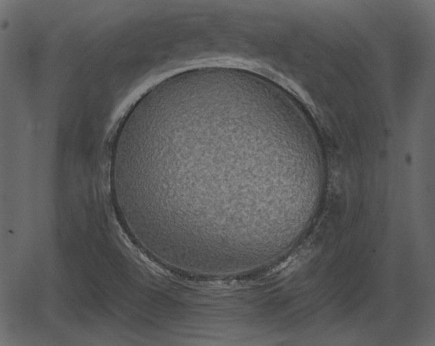 X0000066931504200603311339