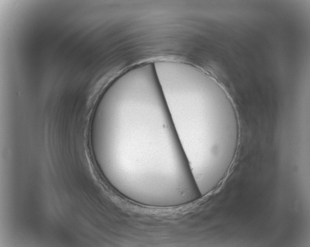 X0000066930001200604071858