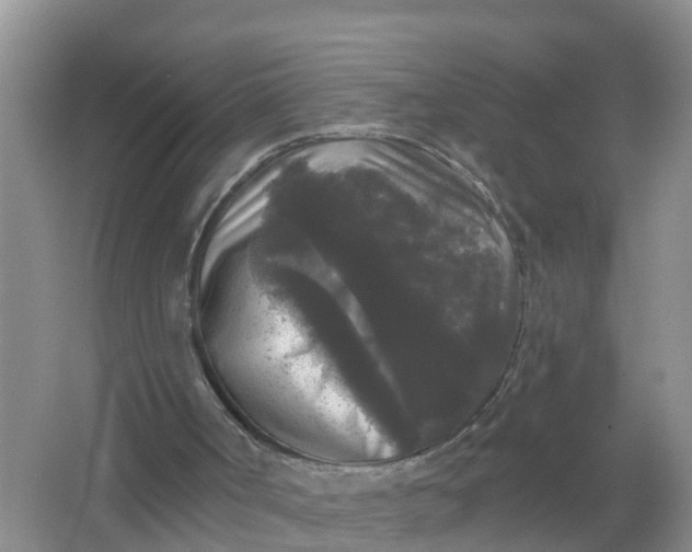 X0000066930002200604071858