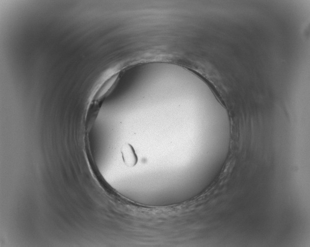 X0000066930003200604071858