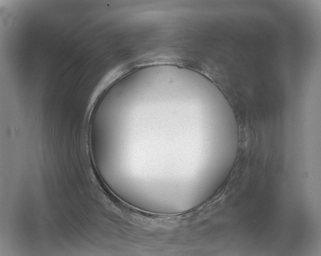 X0000066930004200604071858