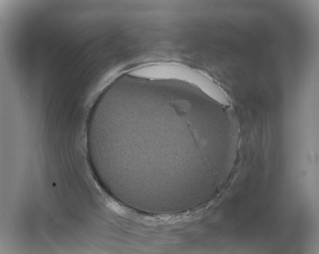 X0000066930005200604071858