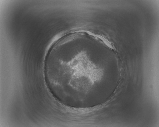 X0000066930006200604071858