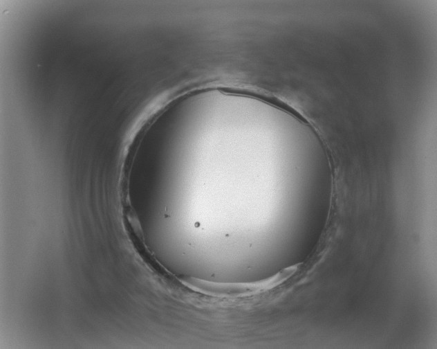 X0000066930007200604071858