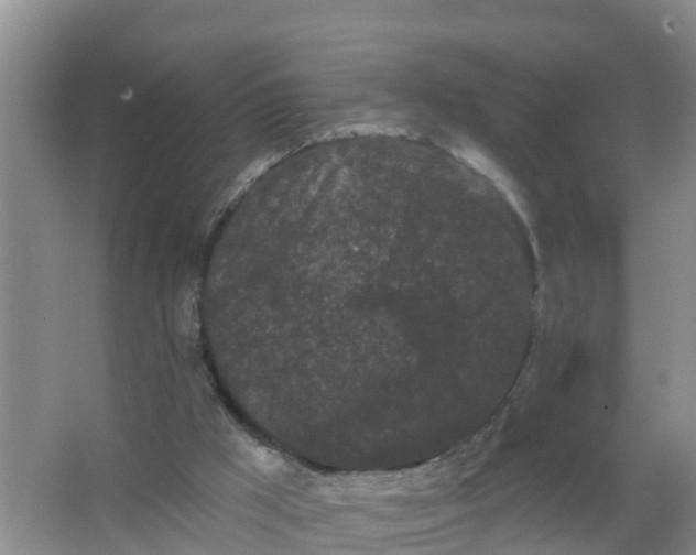 X0000066930009200604071858