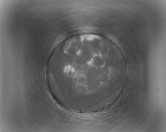 X0000066930010200604071858